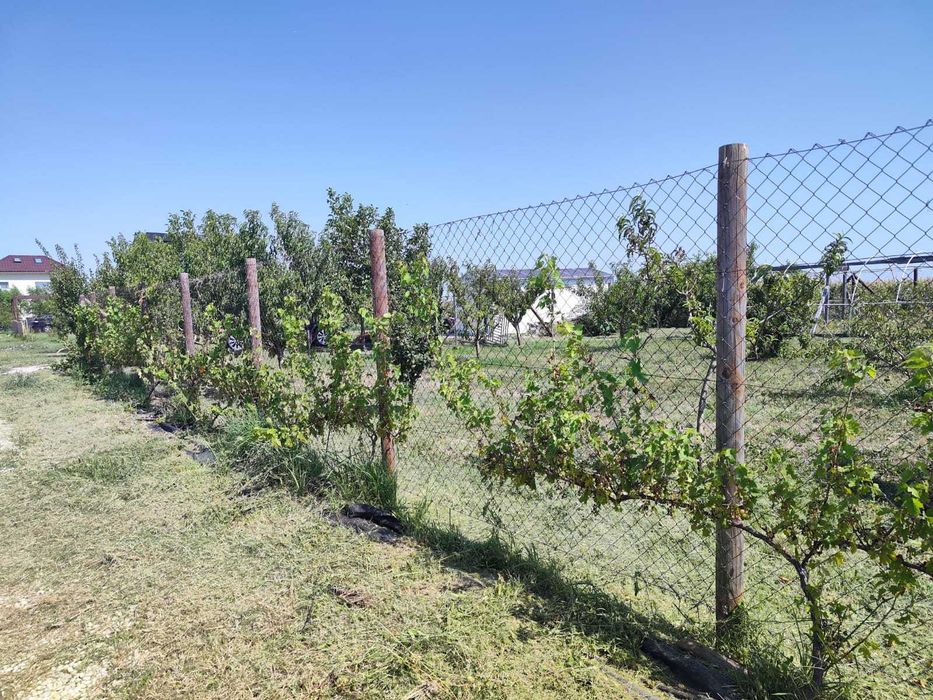 Teren intravilan 733 m², desch 22 m – str. Sportului (asfalt), Ulmi