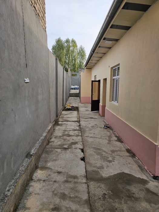 Hasanboy kensoy 4.5 sotix