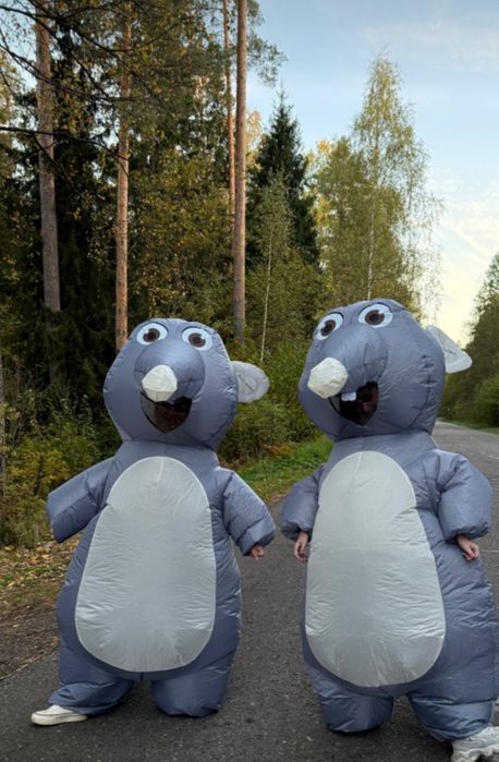 Сдам напрокат костюм крысы