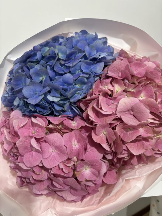 2 гул бар шымкент каласы