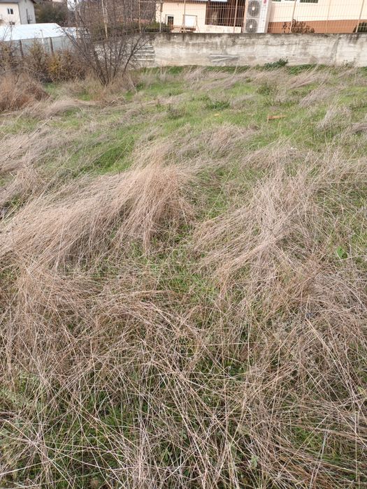 Продава се Парцел в Благоевград, Идеален център - 800 кв.м за 29 €/кв.м - Снимка #1