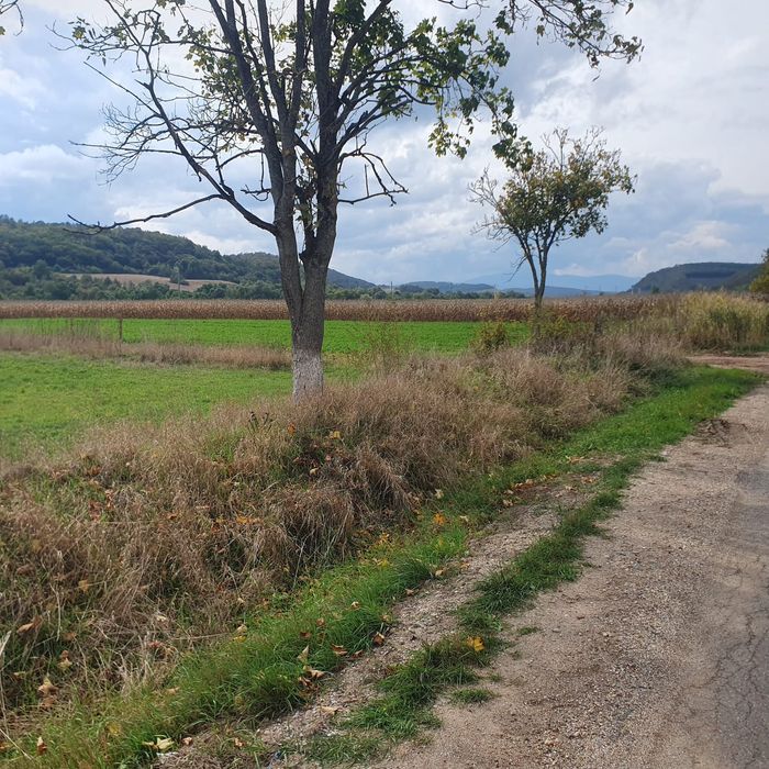 Vand teren extravilan