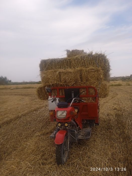 Хамкор мотсакил сотилади нархи 22 млн манзил хоразм вилойати