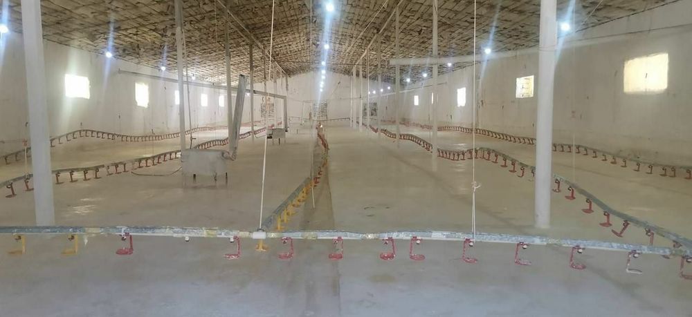 Продается готовий бизнес дом земля 20 соток