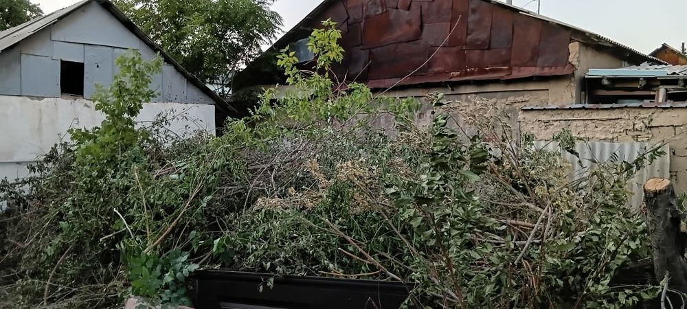 Ағаш отын тегін беремін баня ға или