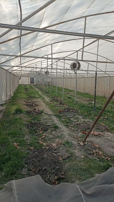 Парник теплица сотилади 40×9