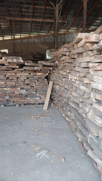 Yasn yongo dubla bor