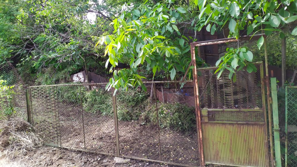 Продавам лозе 664кв.м. в гр.Силистра, местност Орта Борун , ул.Трета