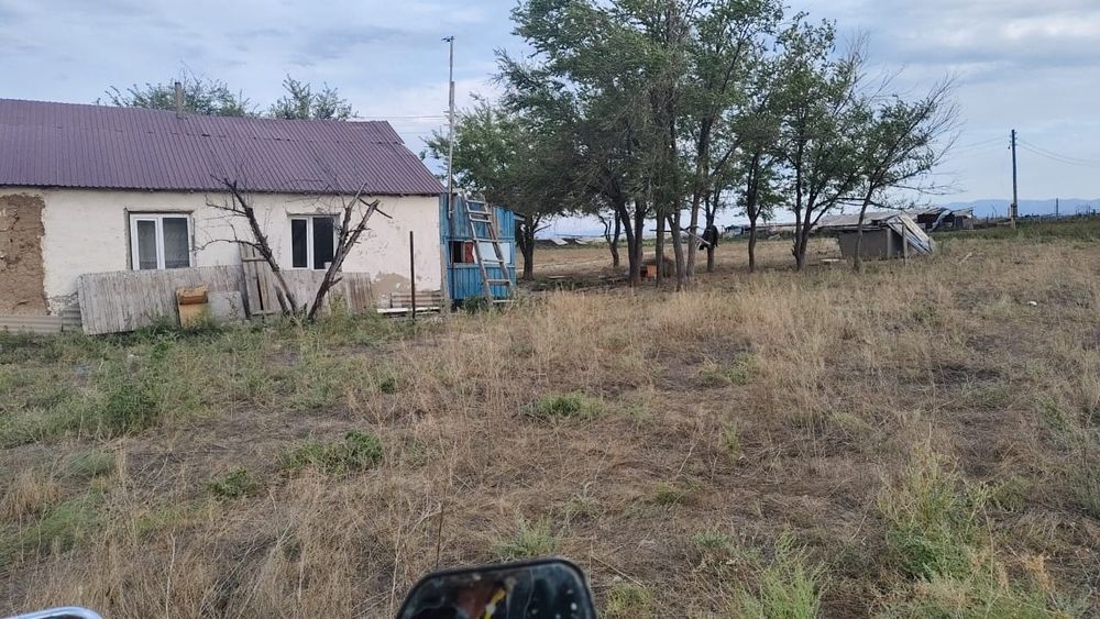 Кашар, Фазенда, Жер, 120гектар