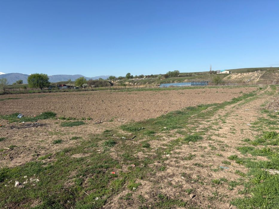 Земля поливная,в аренду