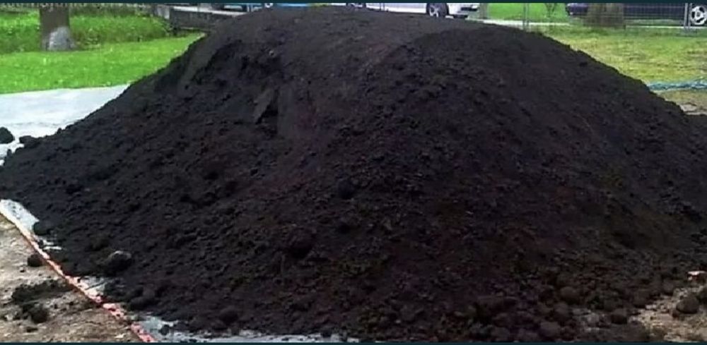 Pamant negru vegetal