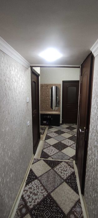 Yangi hayot Sputnik 15