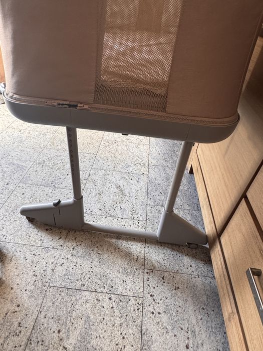 Patut chicco nou