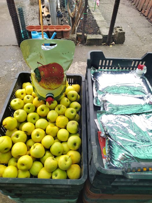 Suc natural de mere,pere,struguri