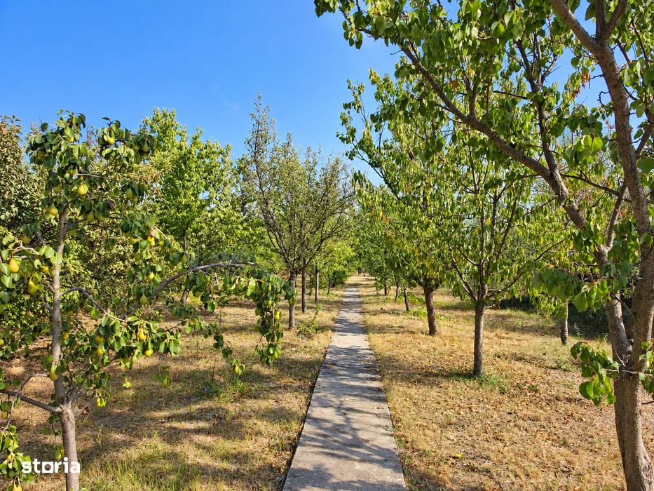 Casă cu 3 camere de vânzare în Mândruloc –teren 1.500 mp