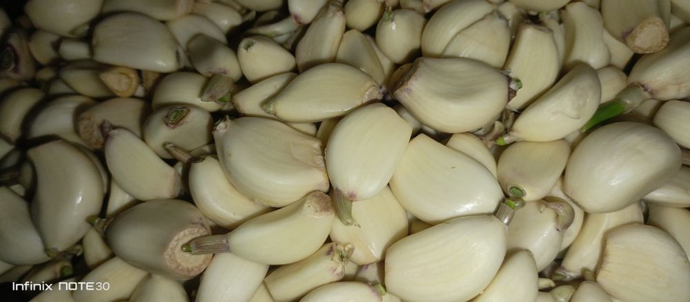 Очишенный чеснок