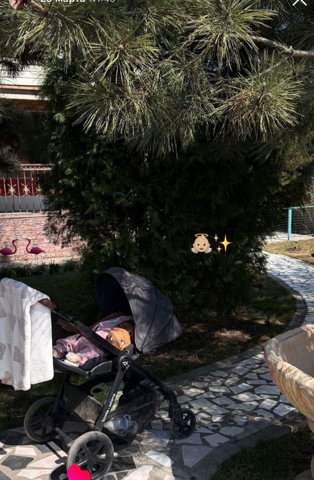 Коляска Tomix Selena