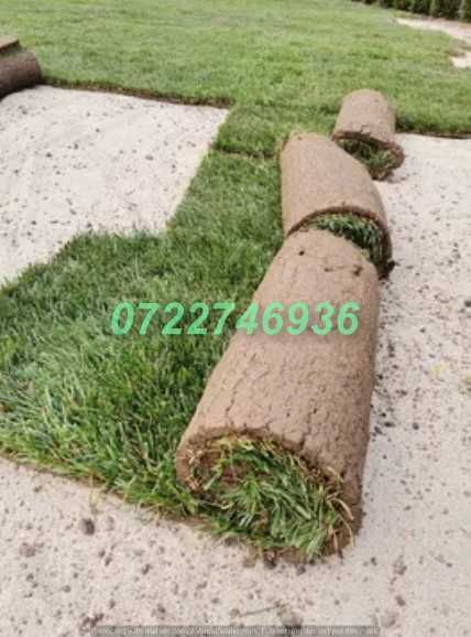 Gazon Verde Natural pentru Curți și Grădini Elegante