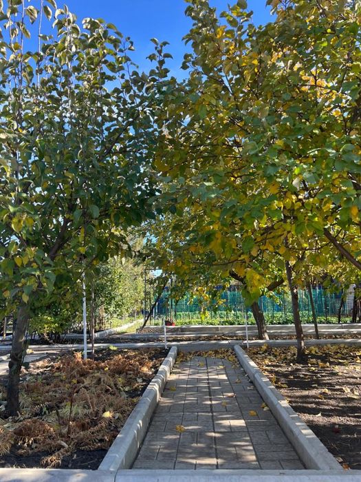 ПРОДАМ ДАЧУ. Садовое общество «Дорожник»