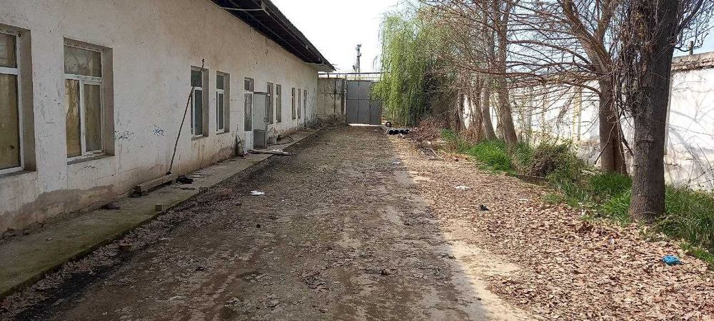 12 сотих жой сотилади бинолари билан