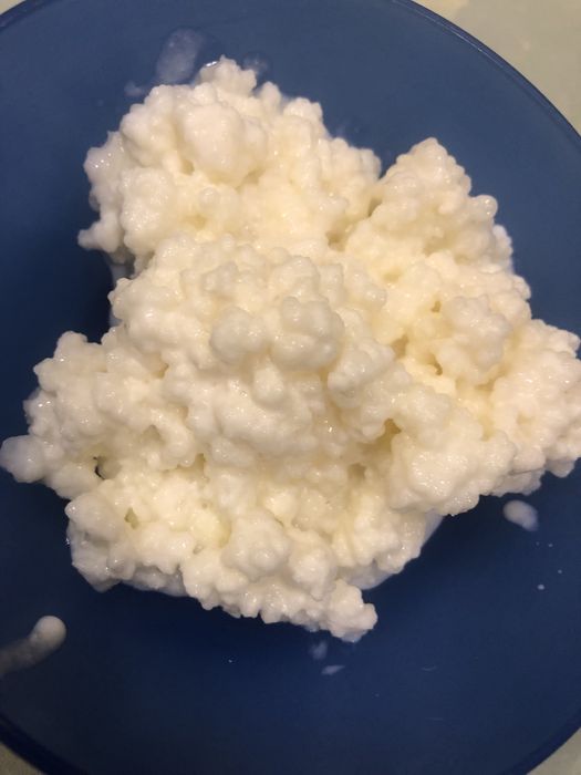 Vand ciuperca kefir lapte