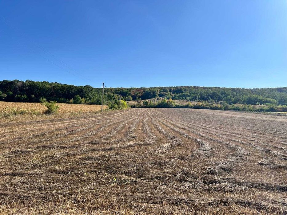 Teren de vanzare - Comuna Podenii Noi