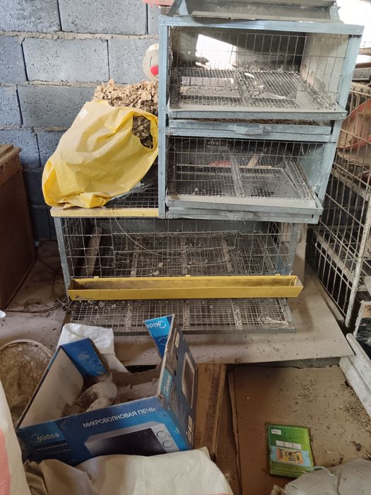 Клетки для перепелов