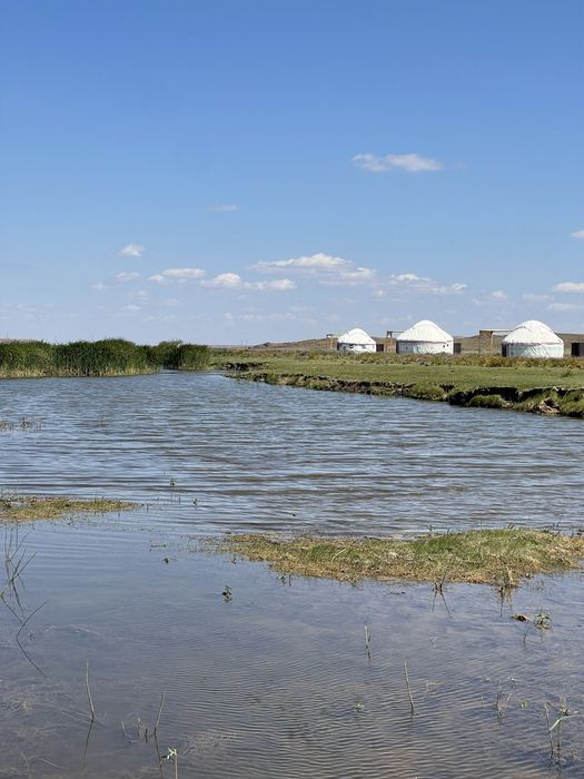 Дайын бизнес сатылады
