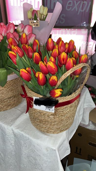 Тюльпаны Алматы 300тг шт.