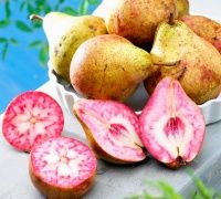 Pomi Fructiferi (Soiuri Deosebite )