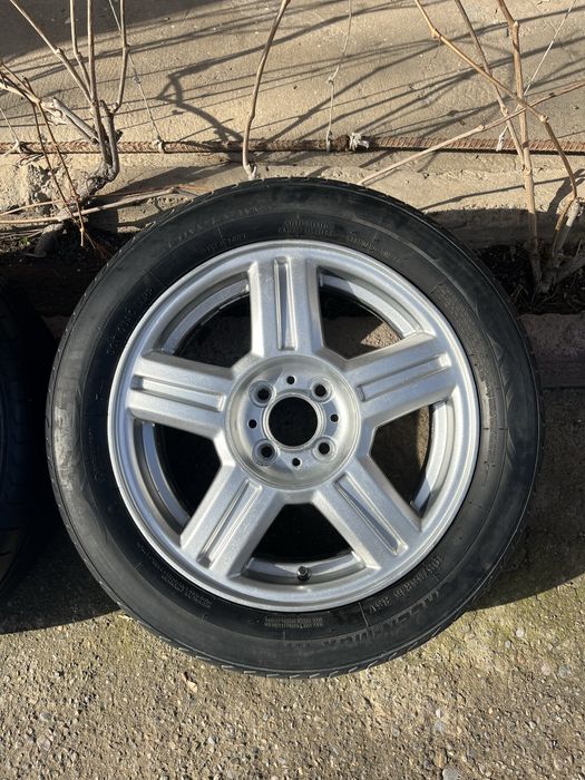 Торус размер 15 летний