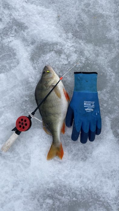 Аренда принадлежностей для рыбалки