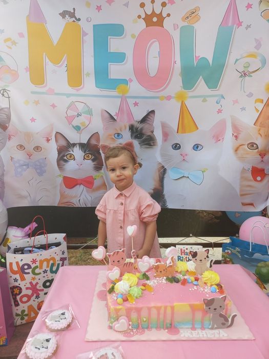 Укра на тема Стич/ Stich/ Рокли Стич/ Винил за рожден ден с котенца