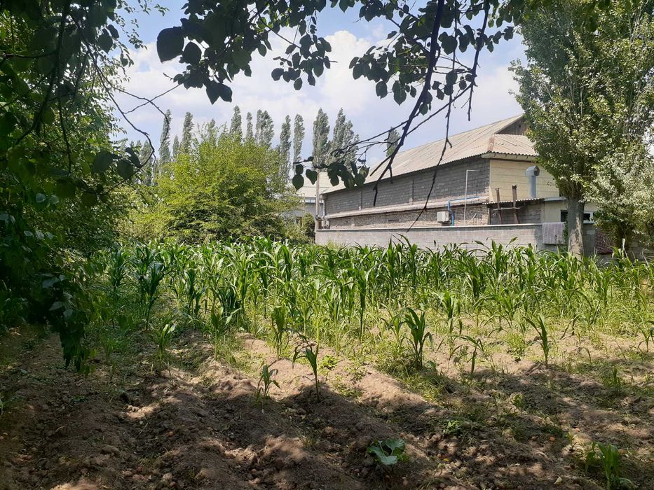 продается участка в Aнгрене