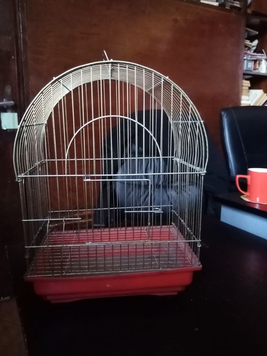 Клетка за птици, папагали