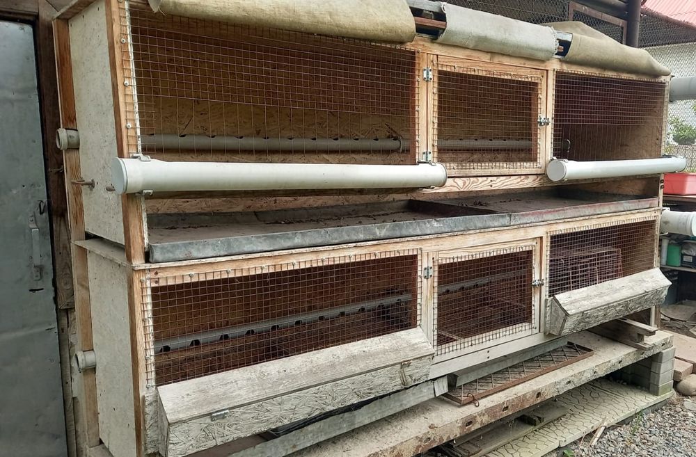 Клетки для разведения бройлеров