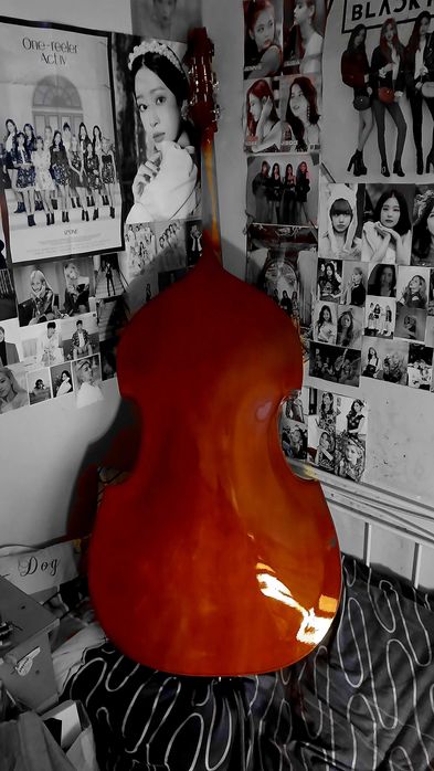 Продавам контрабас "Sound Sation-Virtuoso"Primo, 4/4,190sm
