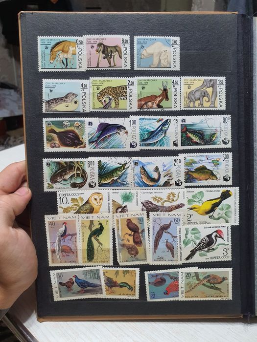 Почтовые марки в большом количестве