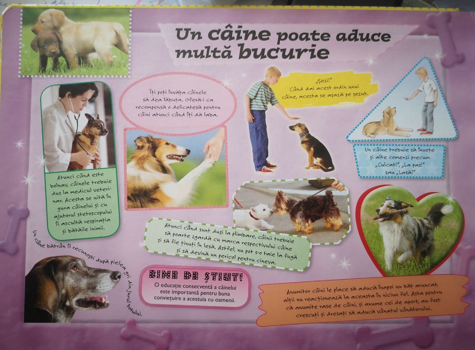 Carte puzzle animale domestice, cartonata, cai, câini, NOI
