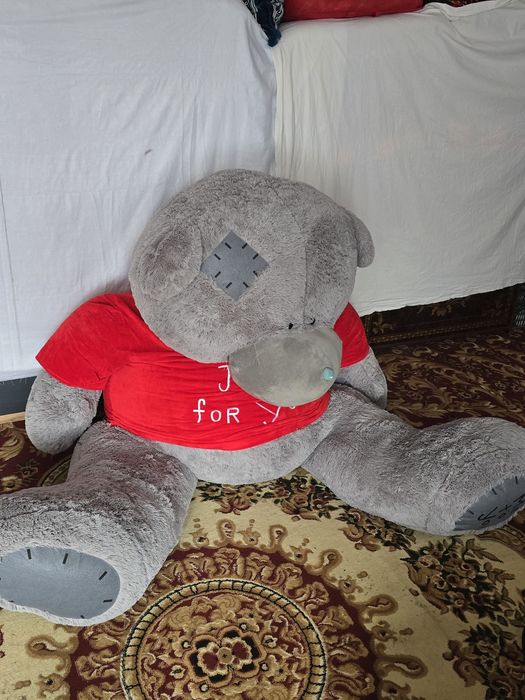 Teddy ayiq  arznon narxda