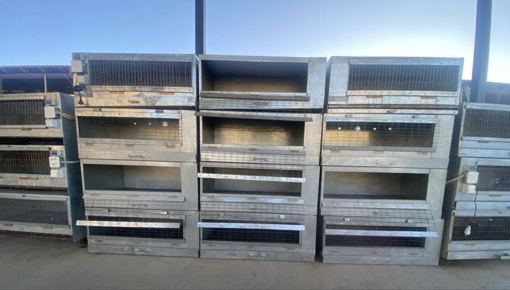 Брудер для птиц куры, гуси, перепелки