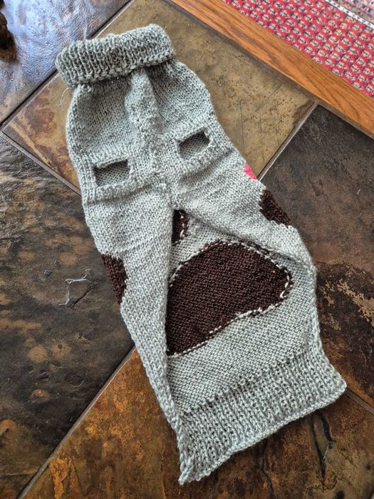 Haina tricotata catel