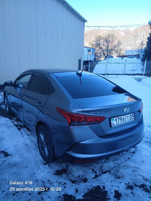 Продам дакана молодого