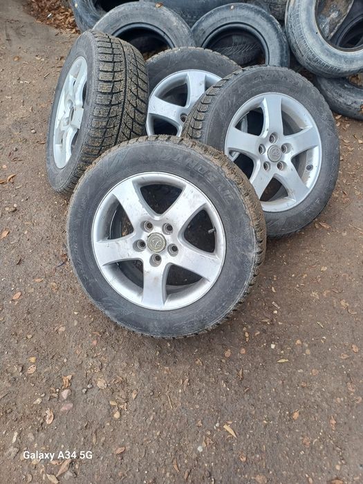 зимный балон шипи