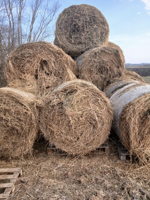 Vand baloti  fan si luterna
