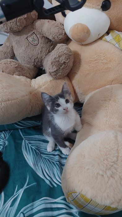 В самые добрые и ответственные руки.