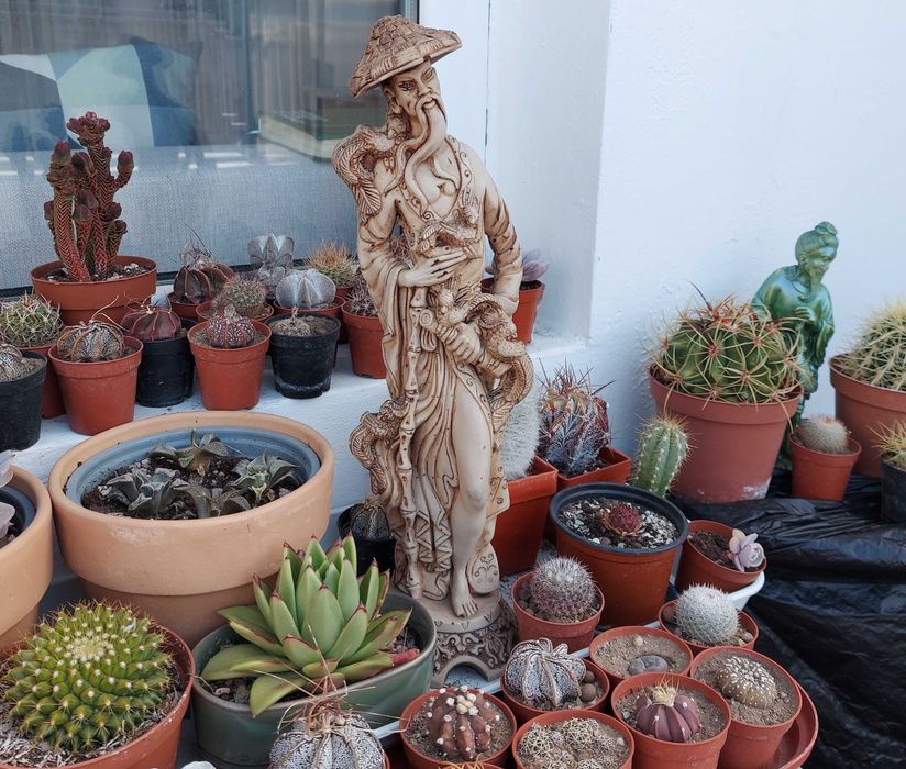 Статуетка Азиатски ловец на птици.