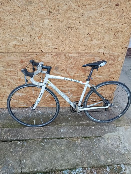 Cursiera specialized dolce