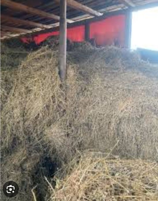 Fan amestecat cu lucerna 2025