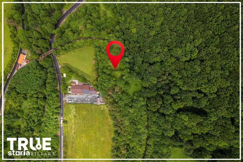 Teren intravilan 2.800 m² în Câmpu Cetății – liniște și natură